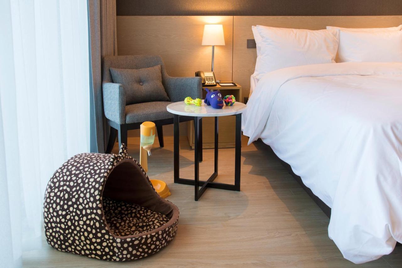 圣约翰斯酒店 江陵市 外观 照片 Pet-friendly room at the Mira Hong Kong