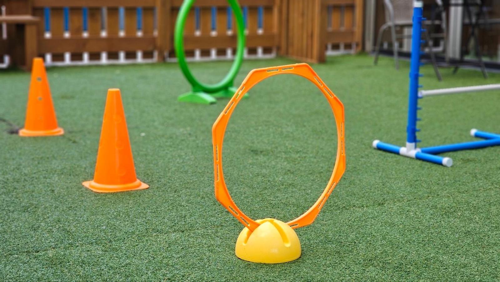 圣约翰斯酒店 江陵市 外观 照片 An agility hoop